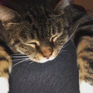 Meet your Posher, Susan